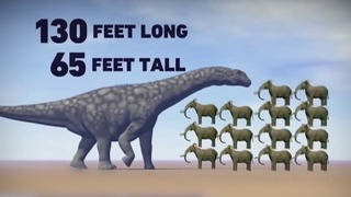 Насколько большими могут быть животные