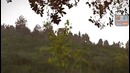 Стрим 18.03.2016.[3] ArmA III