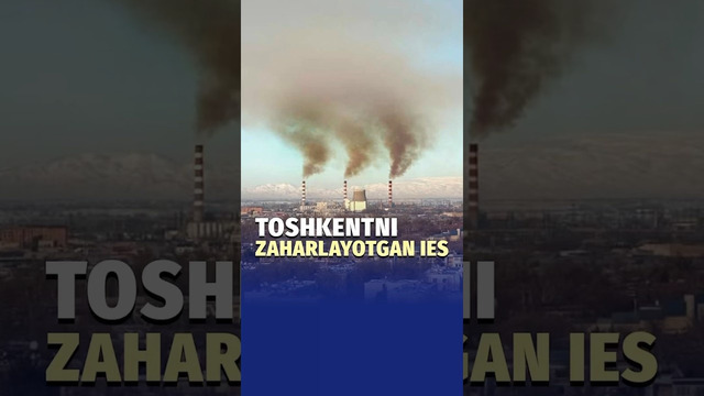 Havosi tozalangan Toshkent shahriga tutunning kirib kelishi