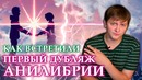 Как встретили первый дубляж анилибрии – ллн