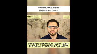 Почему у ЖИВОТНЫХ редко болят СУСТАВЫ, нет ДАВЛЕНИЯ, ДИАБЕТА? Полный ролик в описании! #shorts