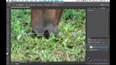 Джереми Шубек Сверхмощный видеокурс по Photoshop CS6 (2013) Урок 52