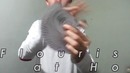 Flourishing at home by UzB.Cardistry