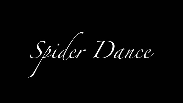 Spider Dance / Танцующий паук