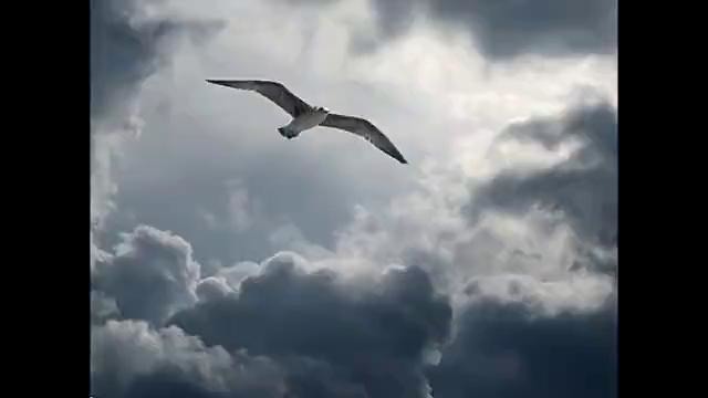 Многоточие-дыши