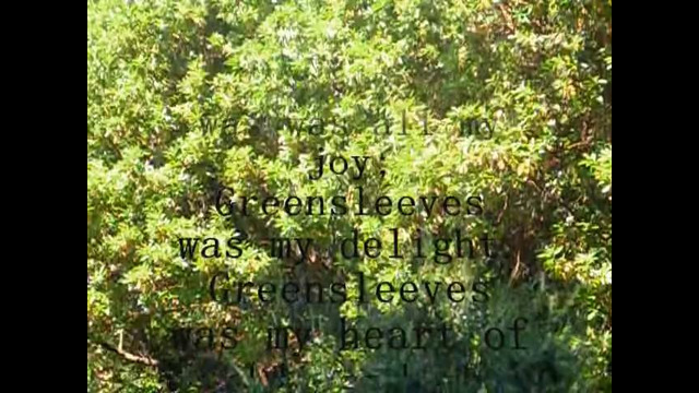 Greensleeves – Celtic Ladies