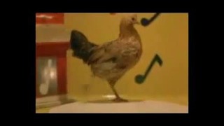 Танцующия курица