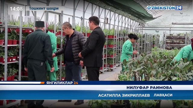 Тoshkent shahrida fitosanitar nazorat tadbirlari olib borilmoqda