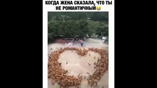 27 минут смеха до слез 2019 лучшие русские лютые приколы ржака 50