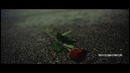 Verse Simmonds – In My Feelings
