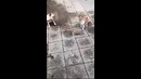 Если Неймар был бы собакой