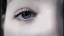 A Life Divided – My Apology (Official Video 2015!)