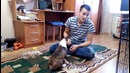 Как отучить щенка кусаться