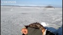 Наклевался) Ржал целый день