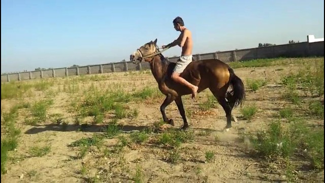 Атаман на даче. РЖАКА