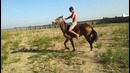 Атаман на даче. РЖАКА