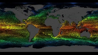 Течения в океане по данным модели ECCO2