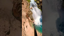 Would you jump