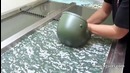 Как красят диски двери от машины в необычные узоры