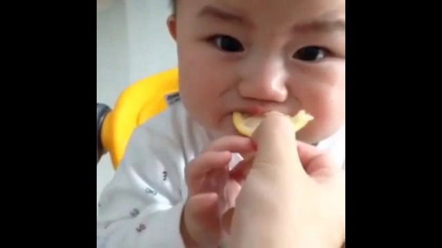 Малыш пробует лимон