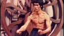 5 удивительных фактов о Брюсе Ли