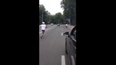 Барашек в Харькове убегает от повара из ресторана