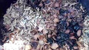 Самодельная коптильня для мяса