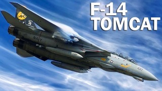 F-14 Tomcat – Top Gun для моряков