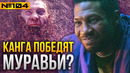 Почему Канга Завоевателя победят муравьи