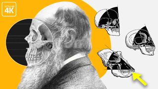 Дарвин ошибался? Проблемы теории эволюции