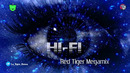 Hi – Fi – Megamix by Red Tiger