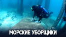 Кувейтские дайверы собирают снаряды и затонувшие лодки в Персидском заливе
