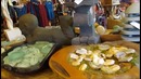 Жизнь в Америке Пьем Вино, Калифорния, Санта Круз. #Калифорния