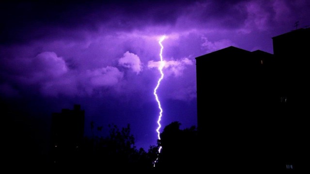 Da Vosk Docta – Assassination