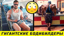 Как Выгядят Огромные Бодибилдеры в Общественных Местах