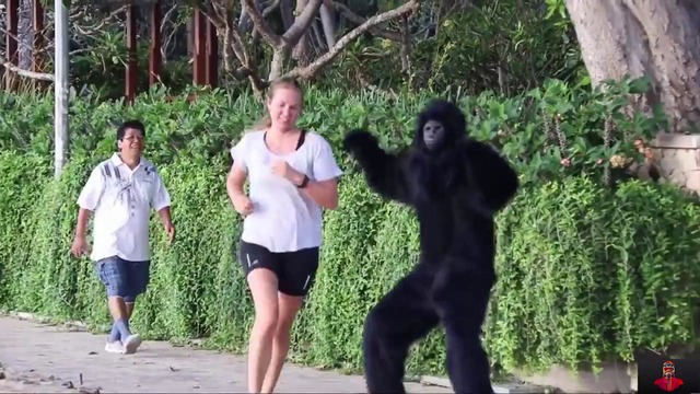 Пугающая горилла. лучшие моменты