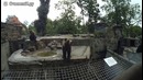 Медведи-попрошайки