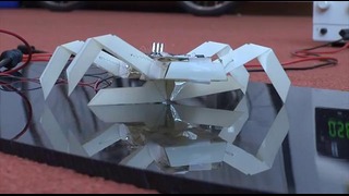 Робот-оригами