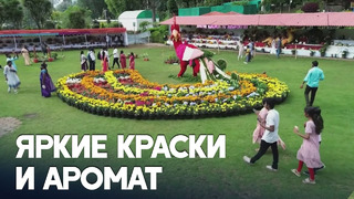 500 000 цветов использовали для создания выставки в индийском городе Кодайканал