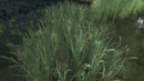 S.t.a.l.k.e.r. самый лучший трек