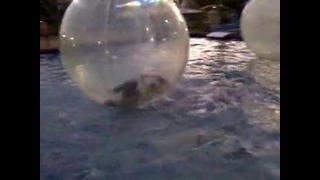Приключения Жанны в «мыльном пузыре» )