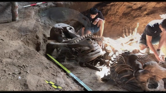 Гигантский человеческий скелет, найденный в пещере Као Кханап Нам в Таиланде