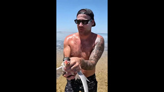 Sea Bird Stuck In Extreme Hot Weather