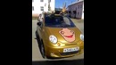 Доставка Резвый Лось