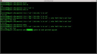 Shell Script Continue Based on Exit Code – Linux – BASH – tutorial