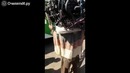 Пронёс на себе мотор весом около 230 кг