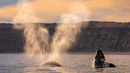 15 Minutes of Relaxing Footage from Planet Earth III | Planet Earth III | BBC Earth