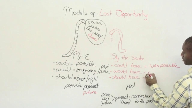 EngVid: Could have, Would have, Should have – Modals of Lost Opportunity