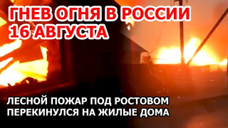 Месть природы в России. Под Ростовом верховой лесной пожар перекинулся на жилые дома в станице