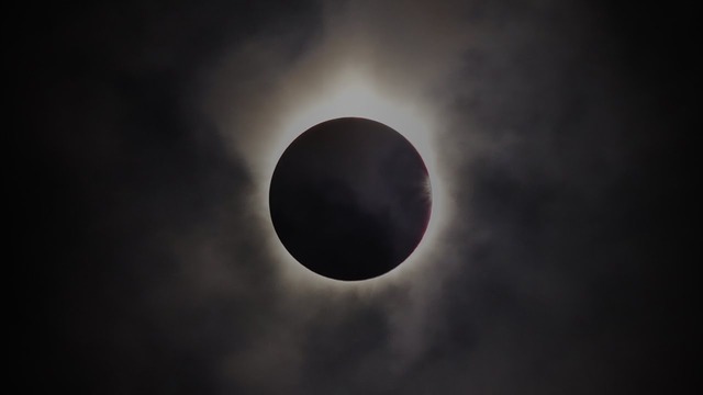 Google – Year In Search 2017